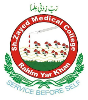 Public Sector client